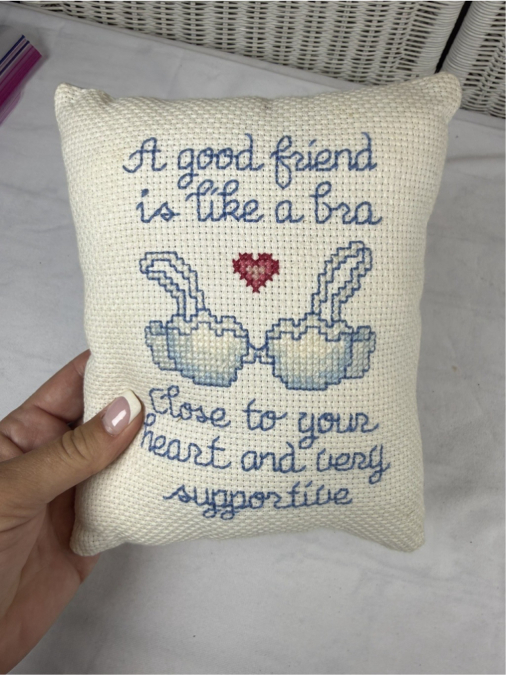 Handmade Cross Stitch Friendship Pillow A Good Friend Is Like a Bra Decorative